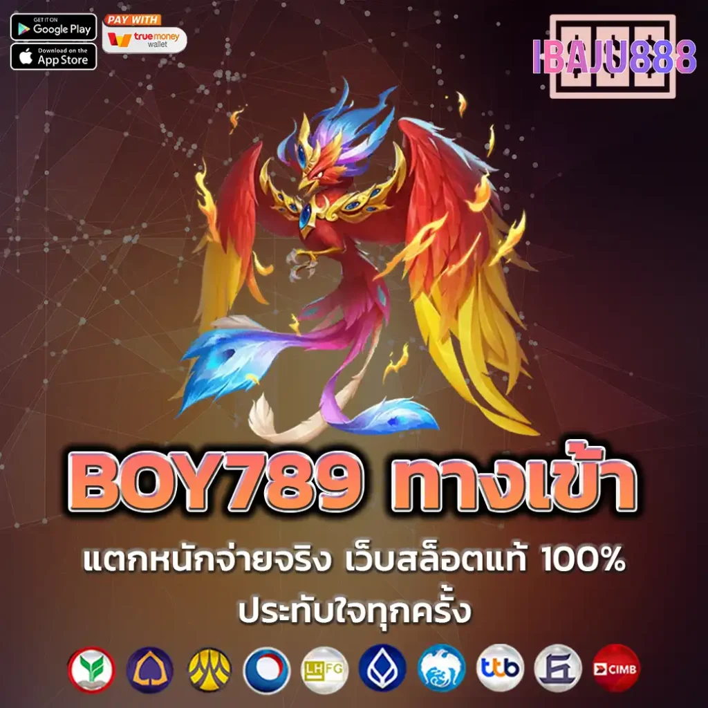 BOY789 ทางเข้า