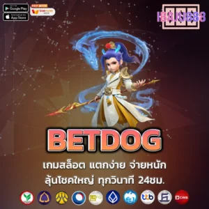 BETDOG